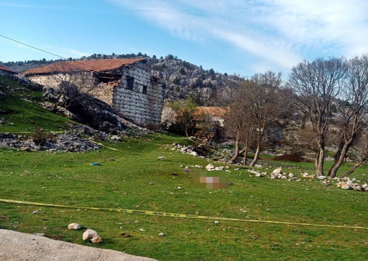 Antalya'da 3 köpek dehşet saçtı! 85 yaşındaki Havva Özen yaşamını yitirdi