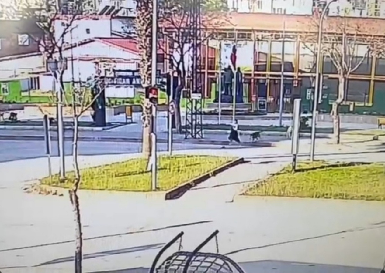 Yer: Adana! Köpeklerin kovaladığı genç kıza otomobil çarptı