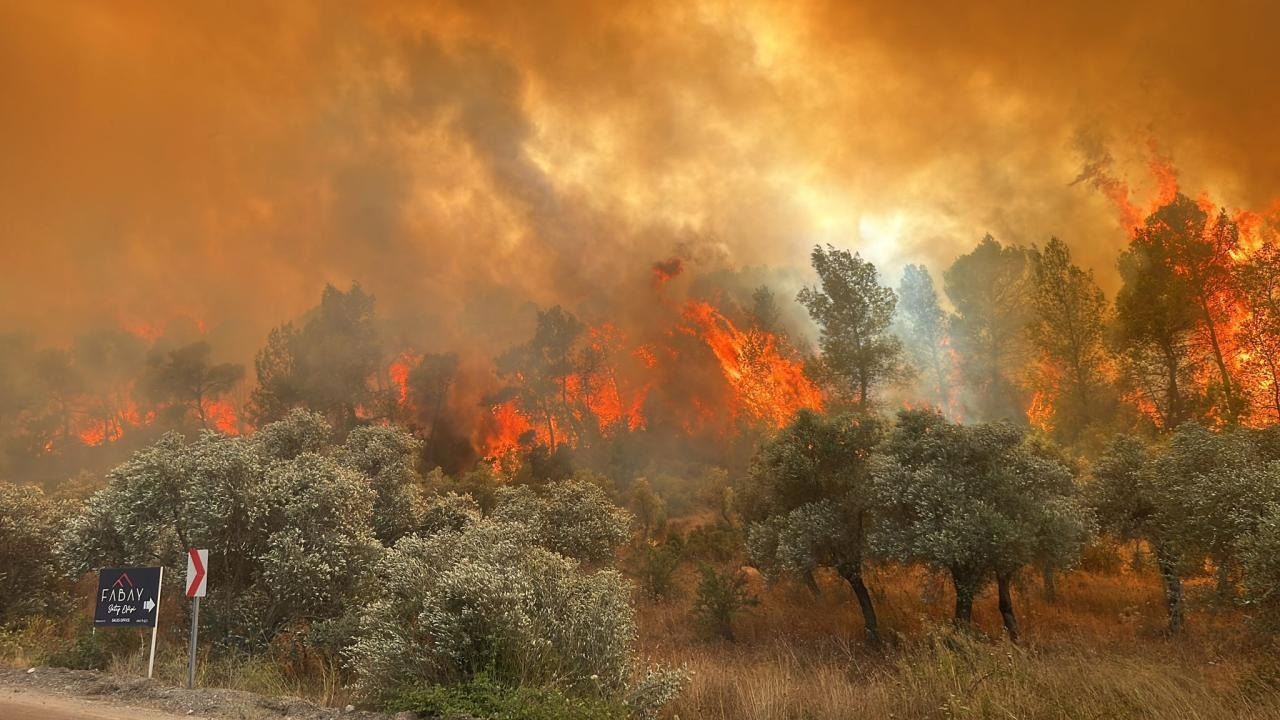 Çanakkale Valiliği'nden orman yangını uyarısı