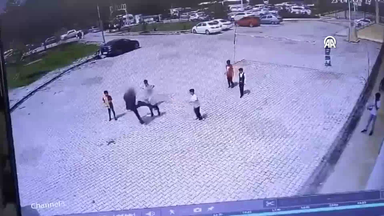 Malatya'da 23 Nisan kutlamalarında öğrenciye tekme atan şüpheli yakalandı