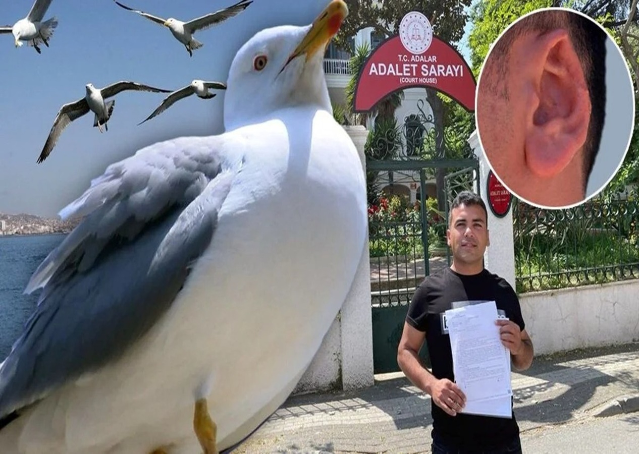 Kavgada kopan kulağını martı alıp götürmüştü! Akıl almaz olayda sanığa 3 yıl 4 ay hapis cezası verildi