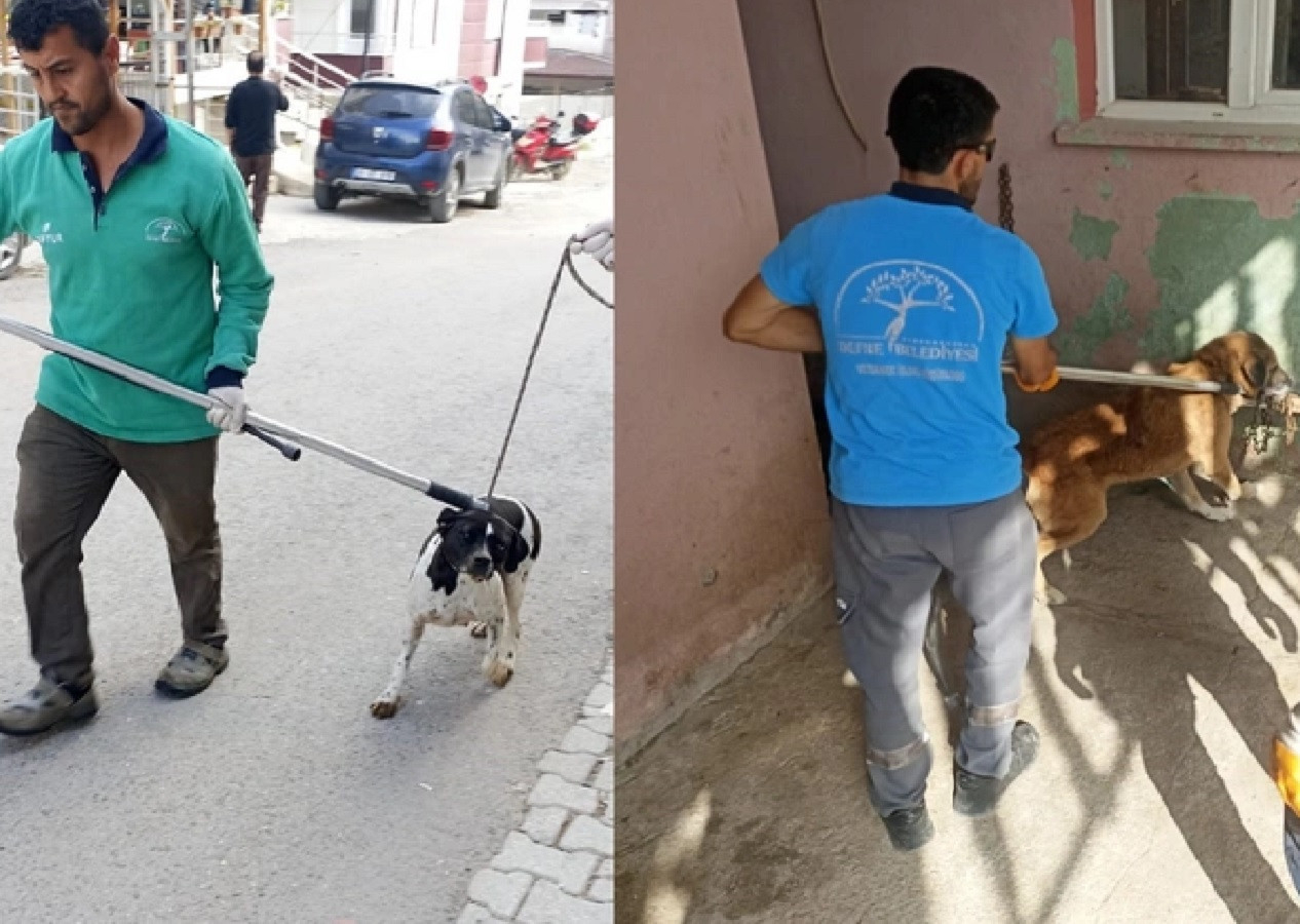 Hatay Defne'de kuduz alarmı: 2 Mahalle karantinada!