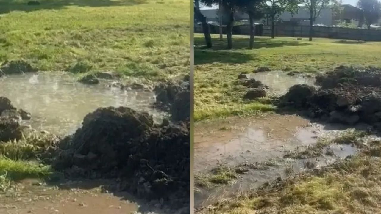 5 yaşındaki Edanur'un acı sonu! İBB'den açıklama geldi!