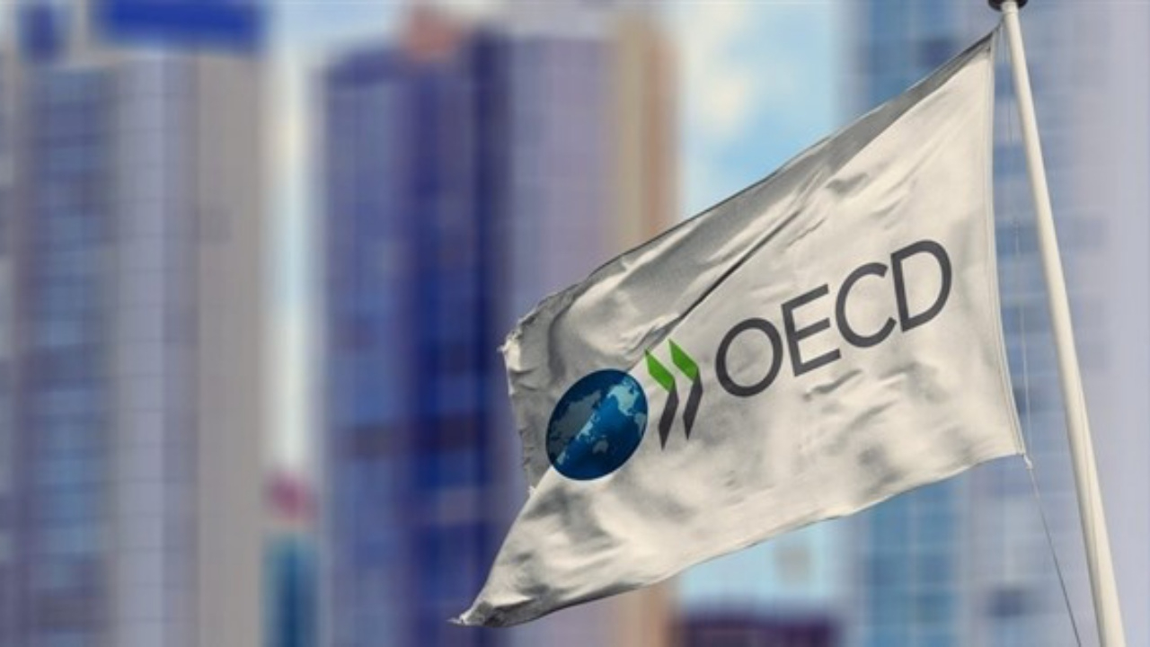 OECD, Türkiye büyüme tahminini yükseltti