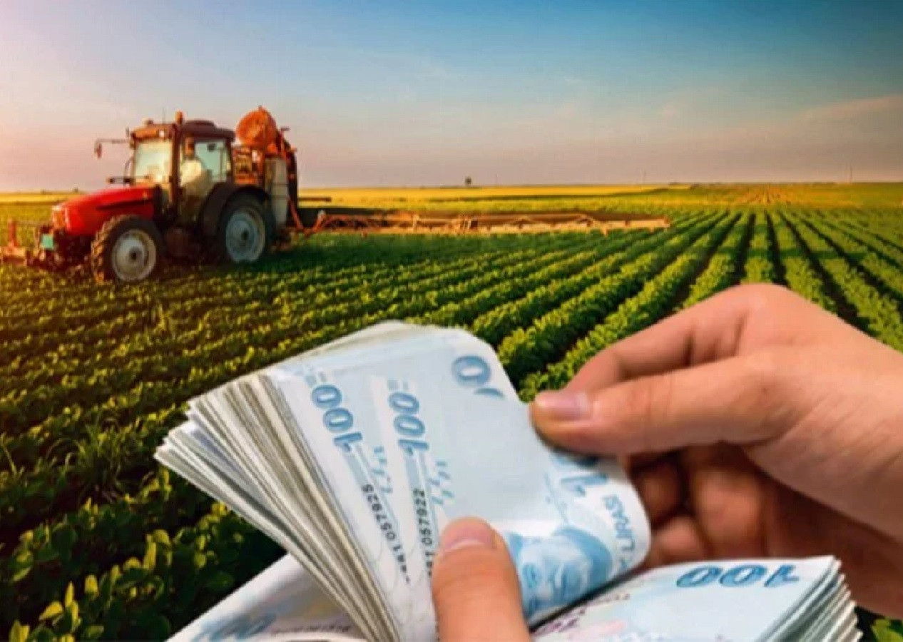 Tarım ve Orman Bakanlığı açıkladı! Çiftçilere 87,5 milyon liralık tarımsal destekleme ödemesi yapılacak