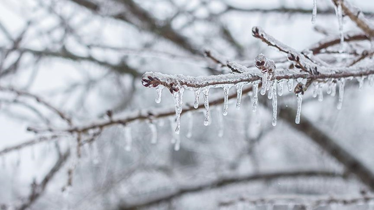 Meteorolojiden Ankara için zirai don uyarısı!