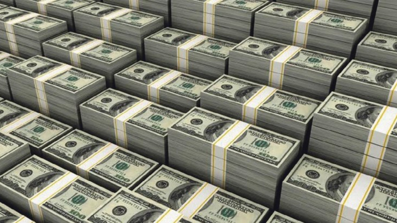 Merkez Bankası her gün 1 milyar doları kasaya atıyor
