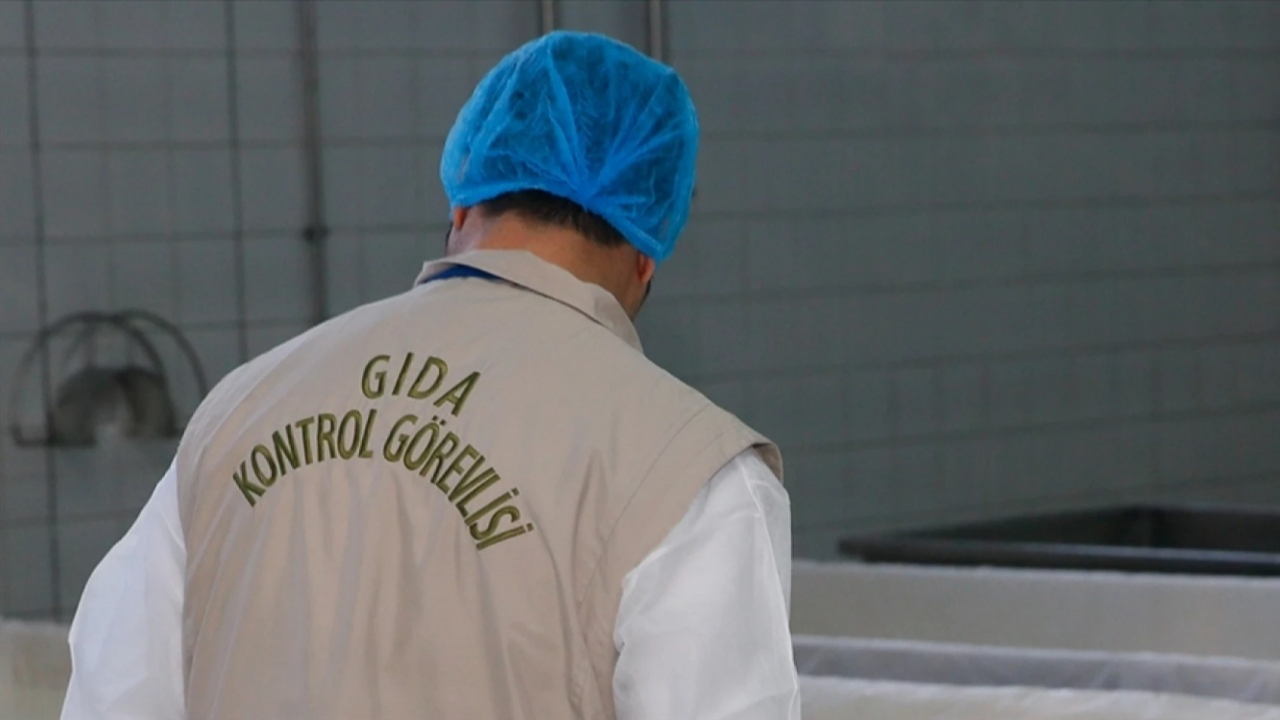 Gıda ve tarım işletmelerine bu yıl  227 milyon lira ceza kesildi
