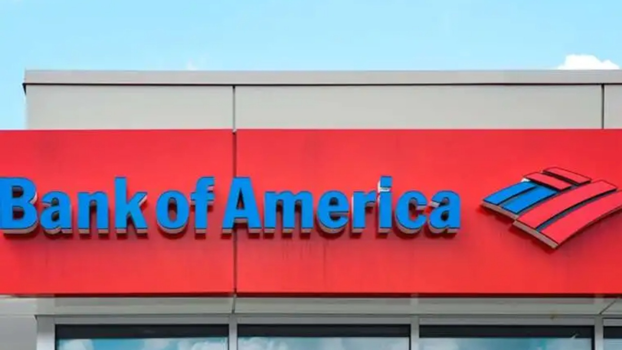 Bank of America'dan TL çağrısı