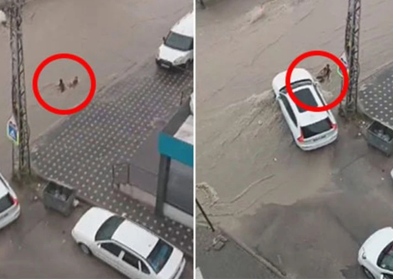 Ankara'da sağanak sonrası facia... Sel sularına kapılan 2 kardeş aracın altında sıkıştı!