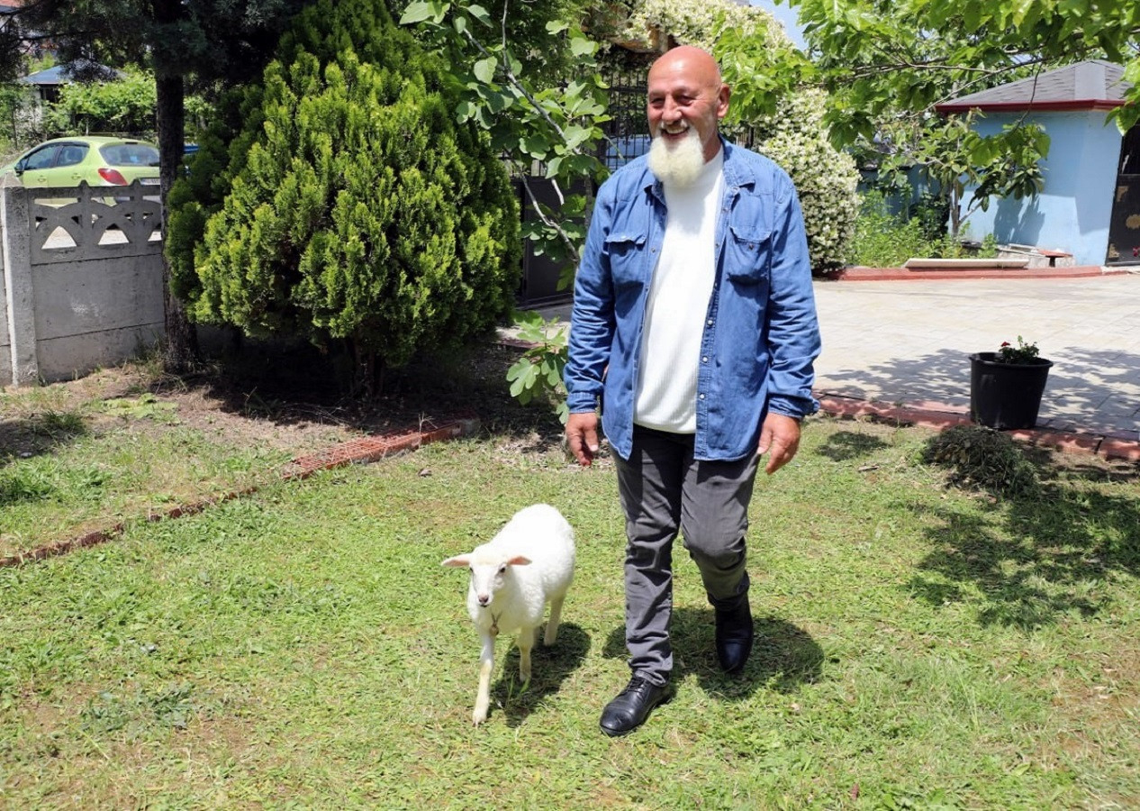 Sakarya'da 2 aylık kuzu ile sahibini görenler gıbta ile bakıyor!