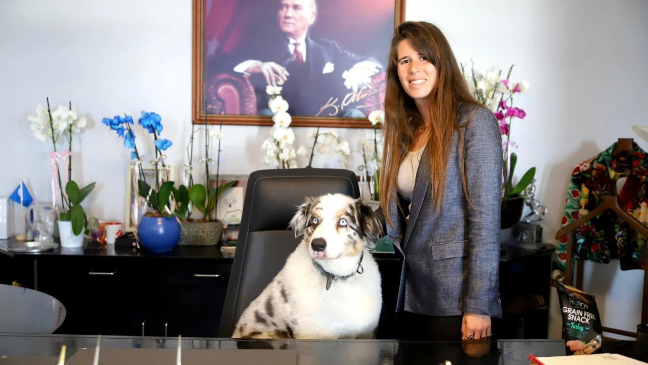 CHP'li Çeşme Belediye Başkanı Lal Denizli'nin, makam koltuğuna köpeğini oturtması alay konusu oldu!