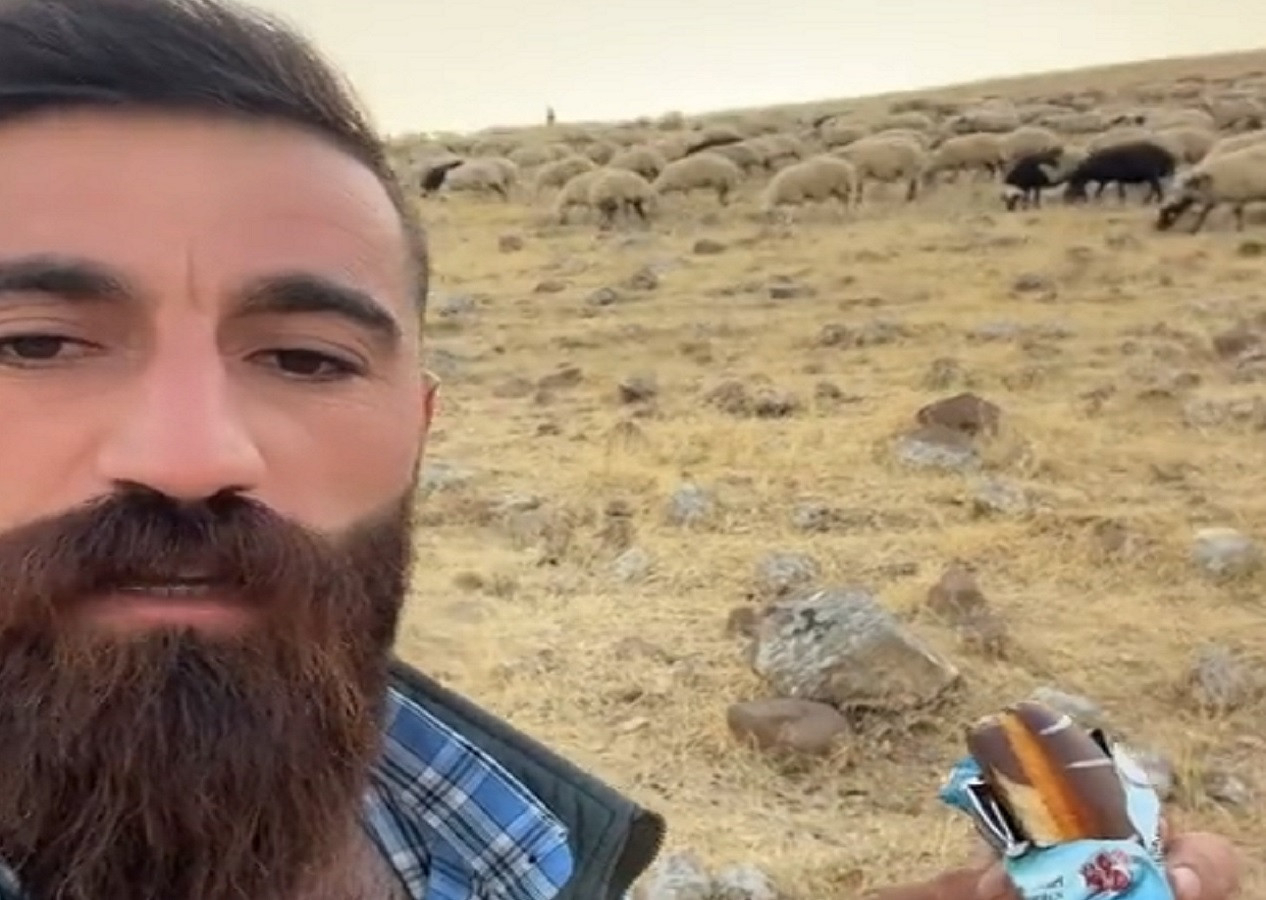 Sahibi Gülçin isimli koyunun abur cubur bağımlısı olduğunu söyledi! O anları görenler kahkahaya boğuldu...