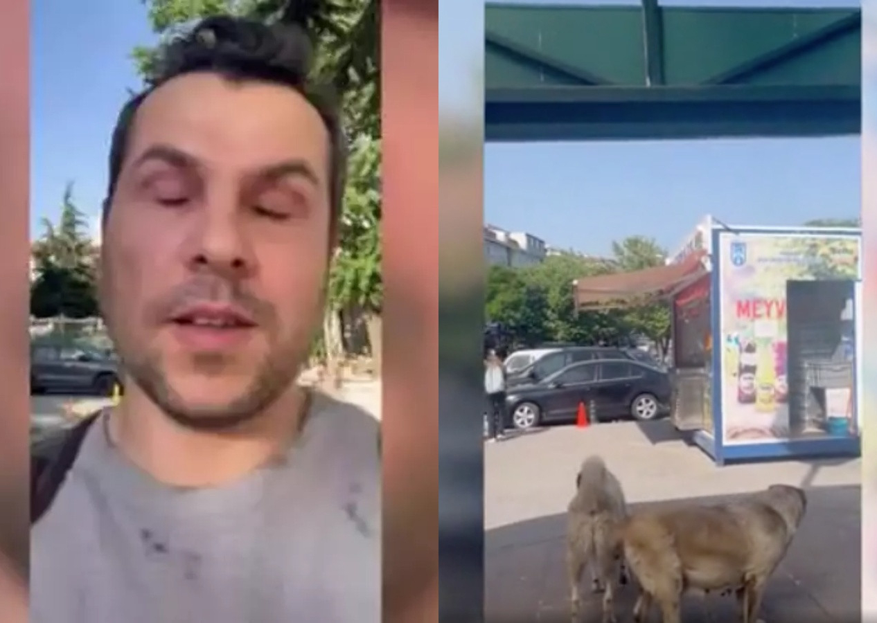 Başıboş köpek sorunu büyüyor... Görme engelli fenomen dehşeti yaşadı! "Bari işimize rahat gidelim"