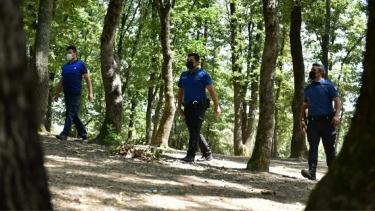 İstanbul'da ormanlara girişler yasaklandı