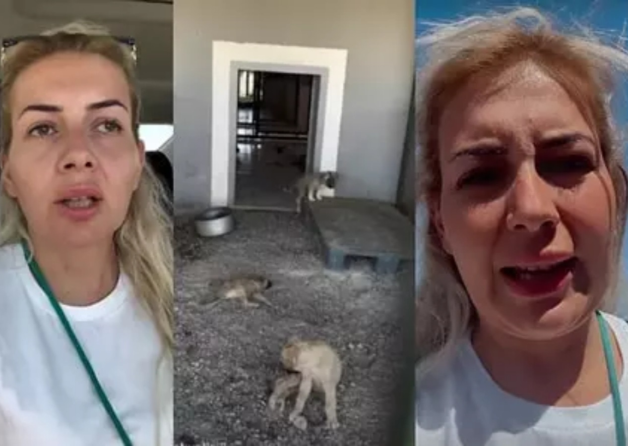 Şanlıurfa'daki barınaktan kuduz köpekleri kaçırarak Ankara'ya götüren Buket Özgünlü gözaltına alındı!