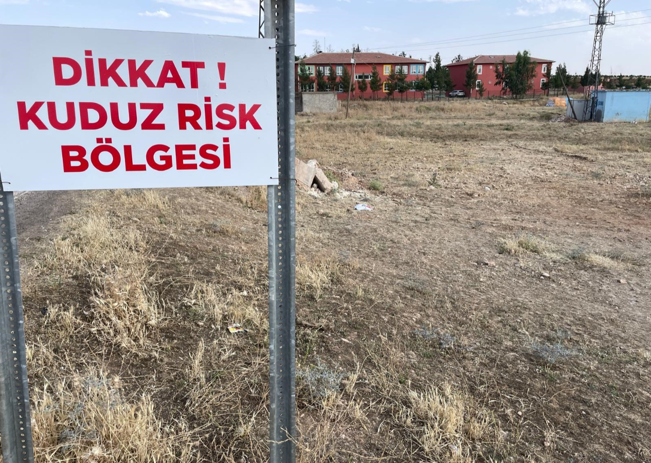 Şanlıurfa'da 2 mahalle karantinaya alındı! Köpeklerde kuduz tespit edildi
