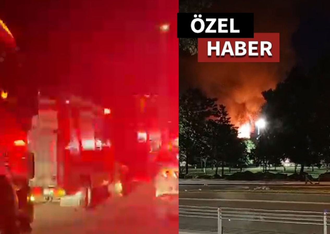 Yedikule hayvan barınağında yangın çıktı