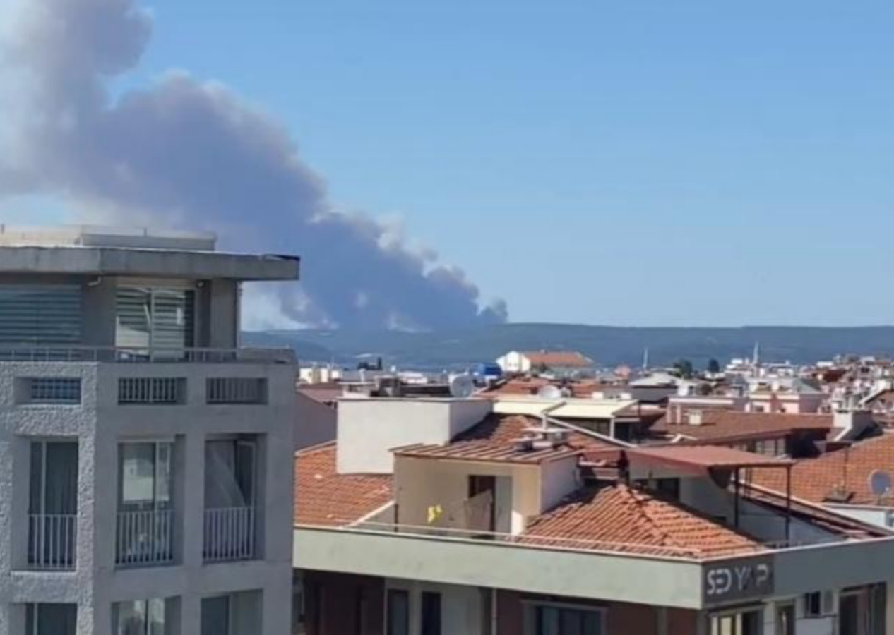Çanakkale'de orman yangını! Boğaz'da gemi trafiği tek yönlü durduruldu! Bir köy boşaltıldı! Valilikten ziyaretçiler için uyarı