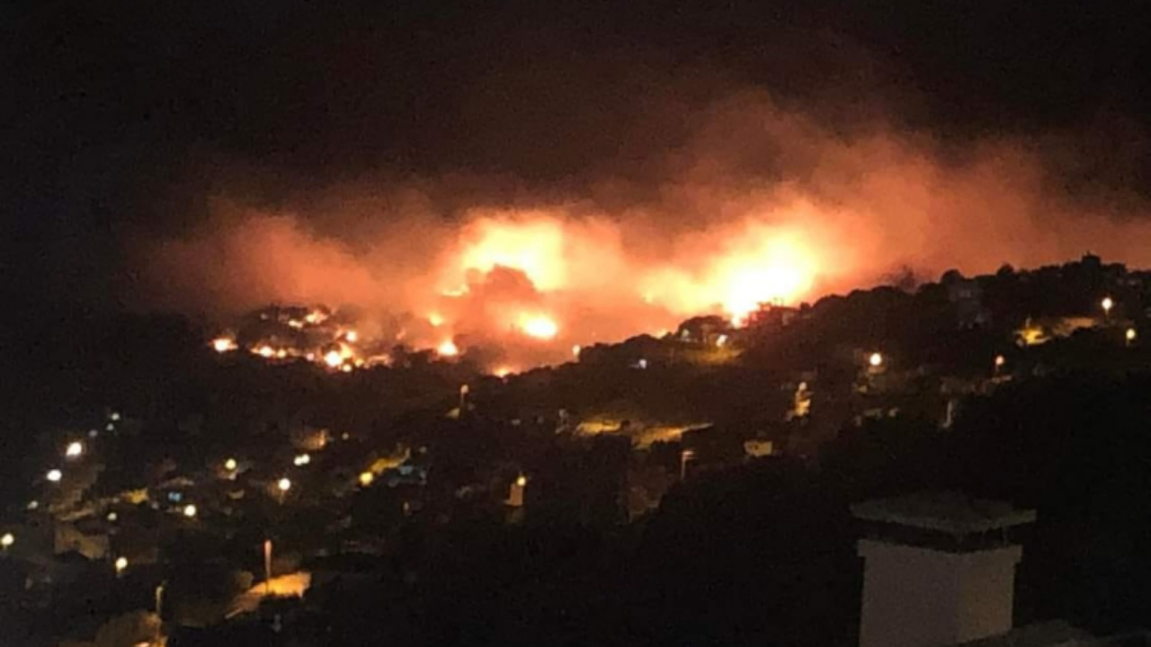 Çanakkale, İzmir, Uşak, Muğla! Çanakkale'deki yangın kontrol altına alındı