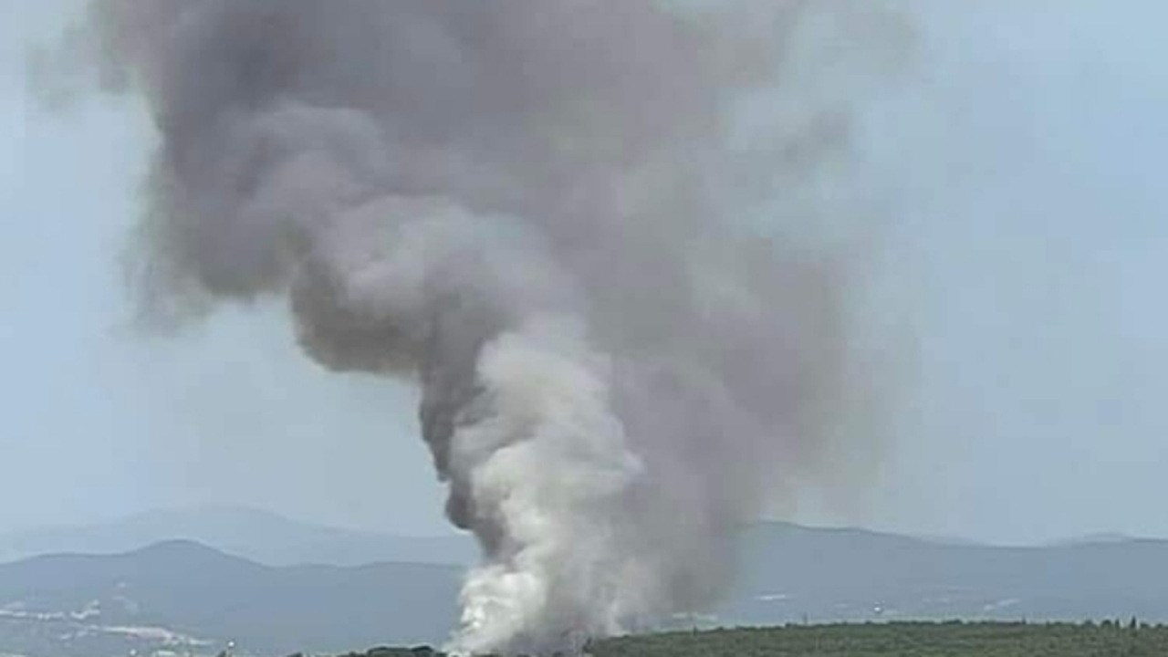 Çanakkale Ezine'de orman yangını çıktı