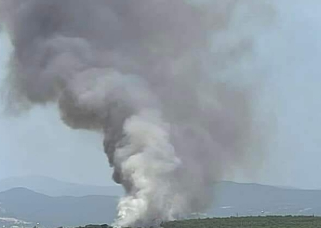 Çanakkale Ezine'de orman yangını çıktı