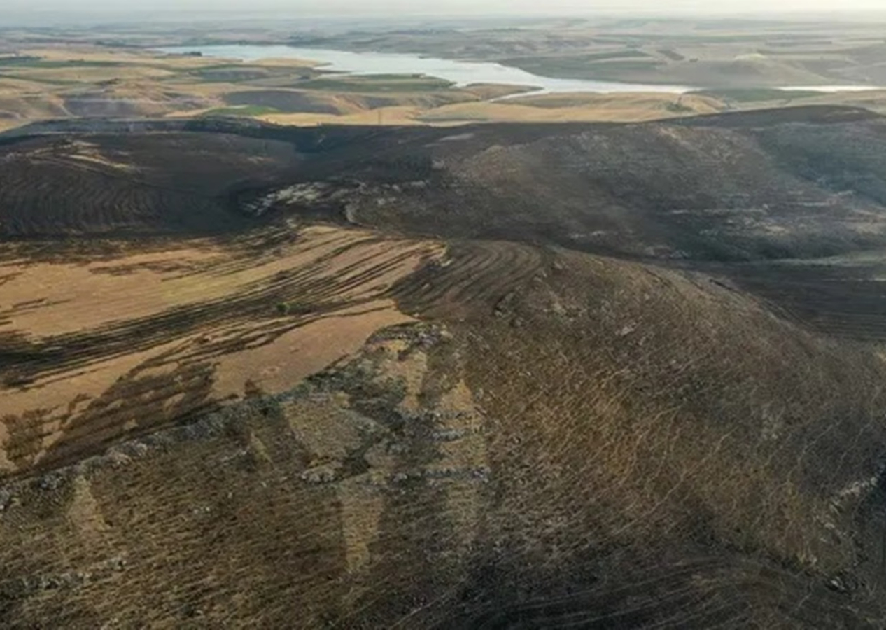Diyarbakır ve Mardin'deki yangın kontrol altına alındı! Soğutma çalışmaları bitti: 5 ölü, 44 yaralı