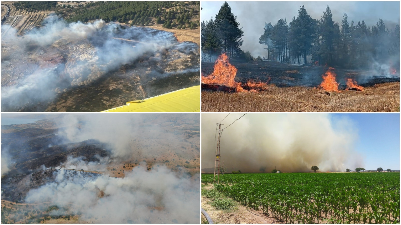 Ciğerlerimiz yanıyor! Çanakkale, Elazığ, Balıkesir ve Adana'da orman yangını