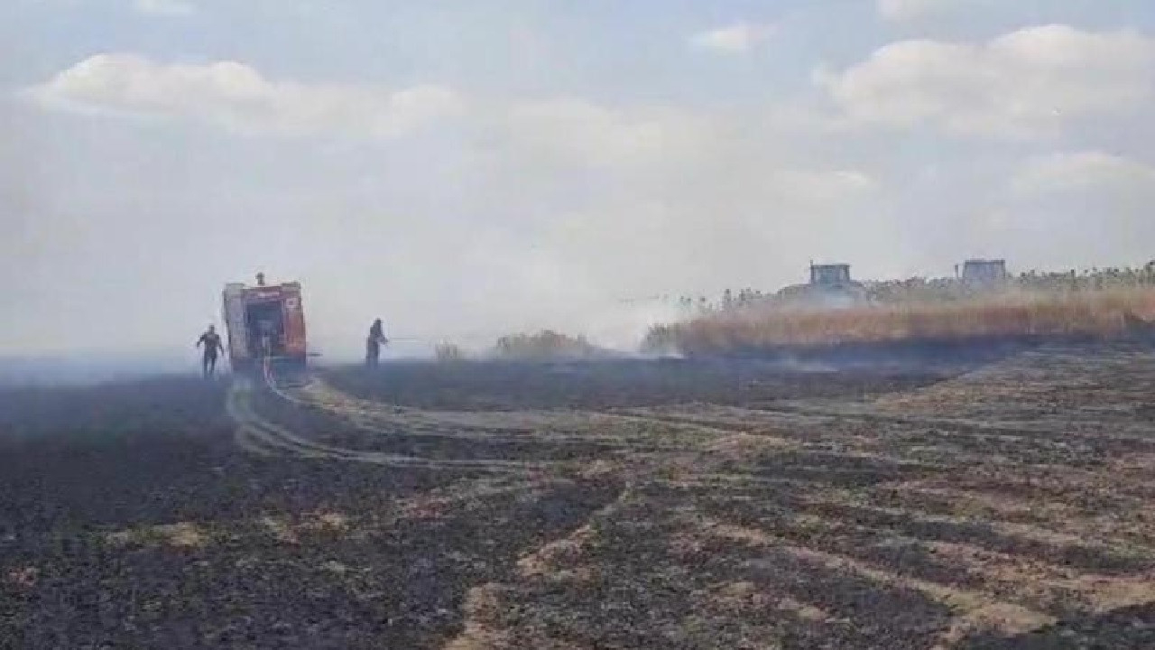 Tekirdağ'da 600 dekarlık buğday ekili alan küle döndü! Çalışmalar sürüyor..