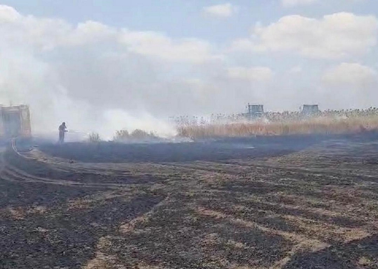 Tekirdağ'da 600 dekarlık buğday ekili alan küle döndü! Çalışmalar sürüyor..