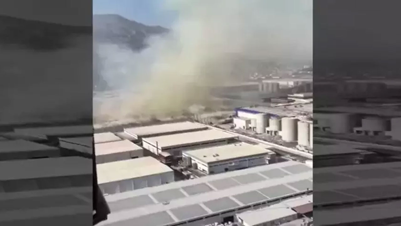 MSB'den Aydın açıklaması! '2 adet AS-532 Cougar helikopterle havadan destek sağladık'