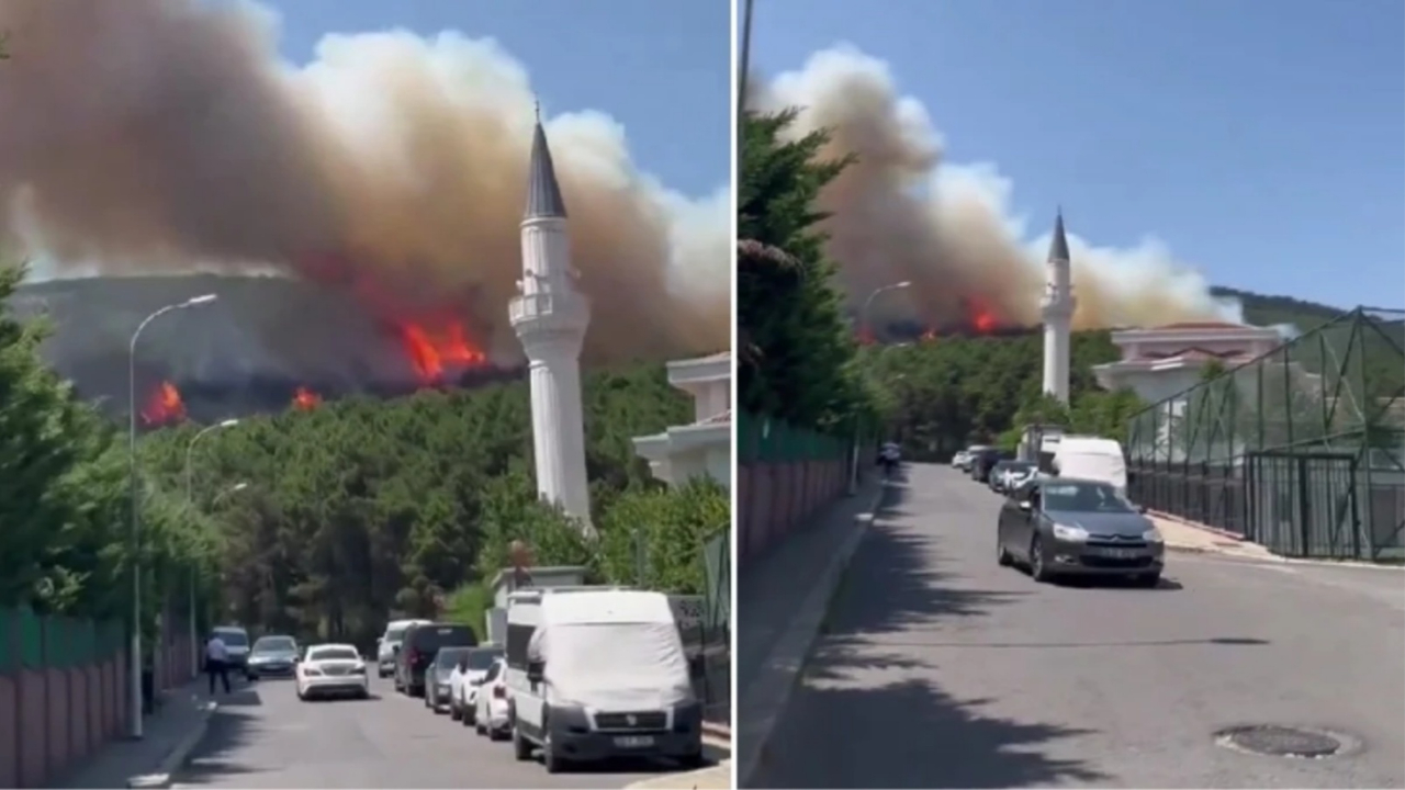 Pendik'teki Aydos Ormanı'nda yangın çıktı!