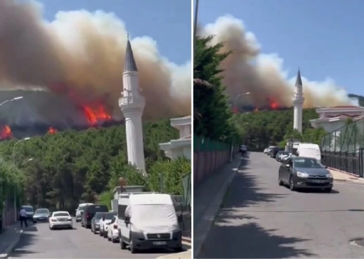 Pendik'teki Aydos Ormanı'nda yangın çıktı!