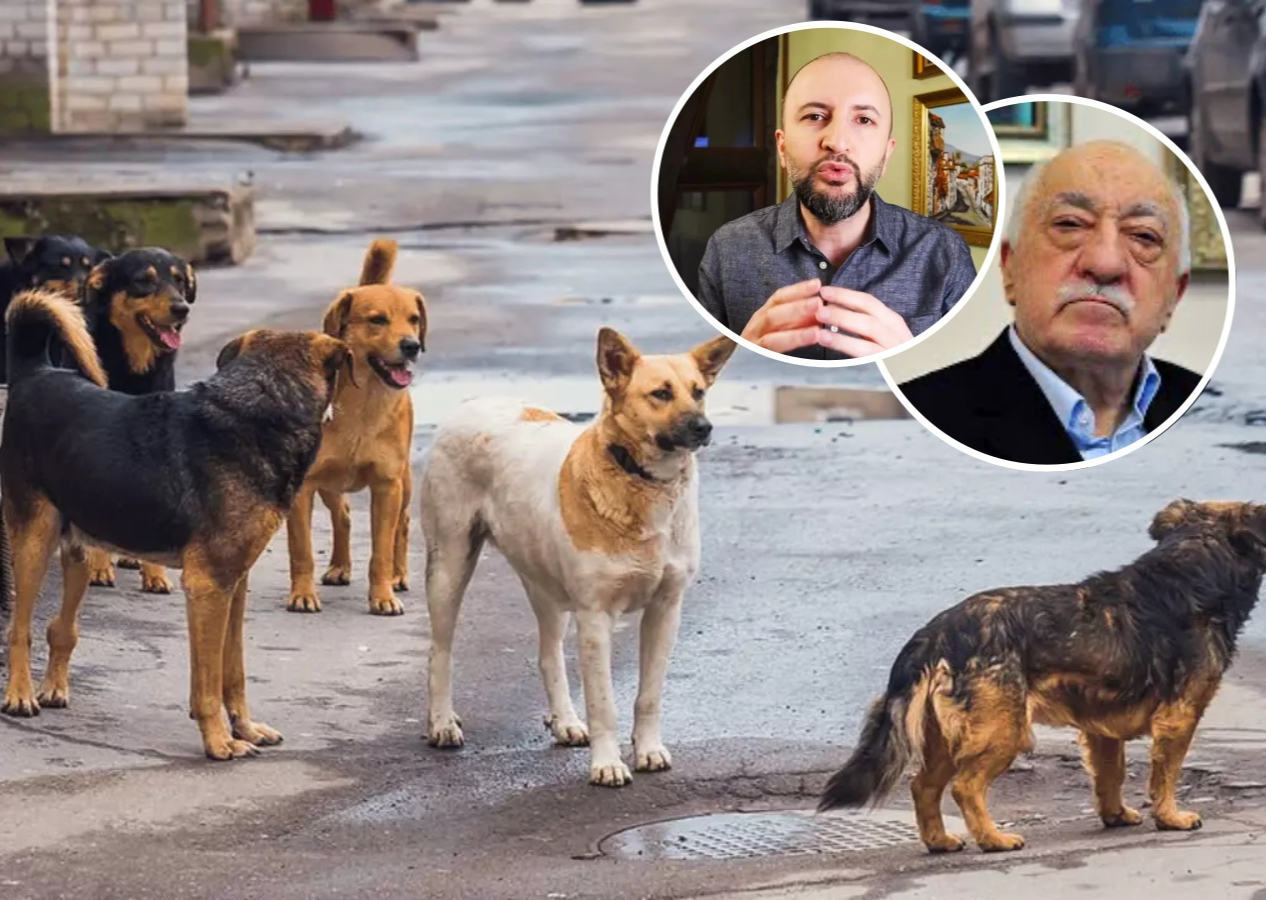 FETÖ'cüler sokak köpekleri yasası üzerinden kaos çıkarma planı yapıyor! Sohbet odasında deşifre oldular...