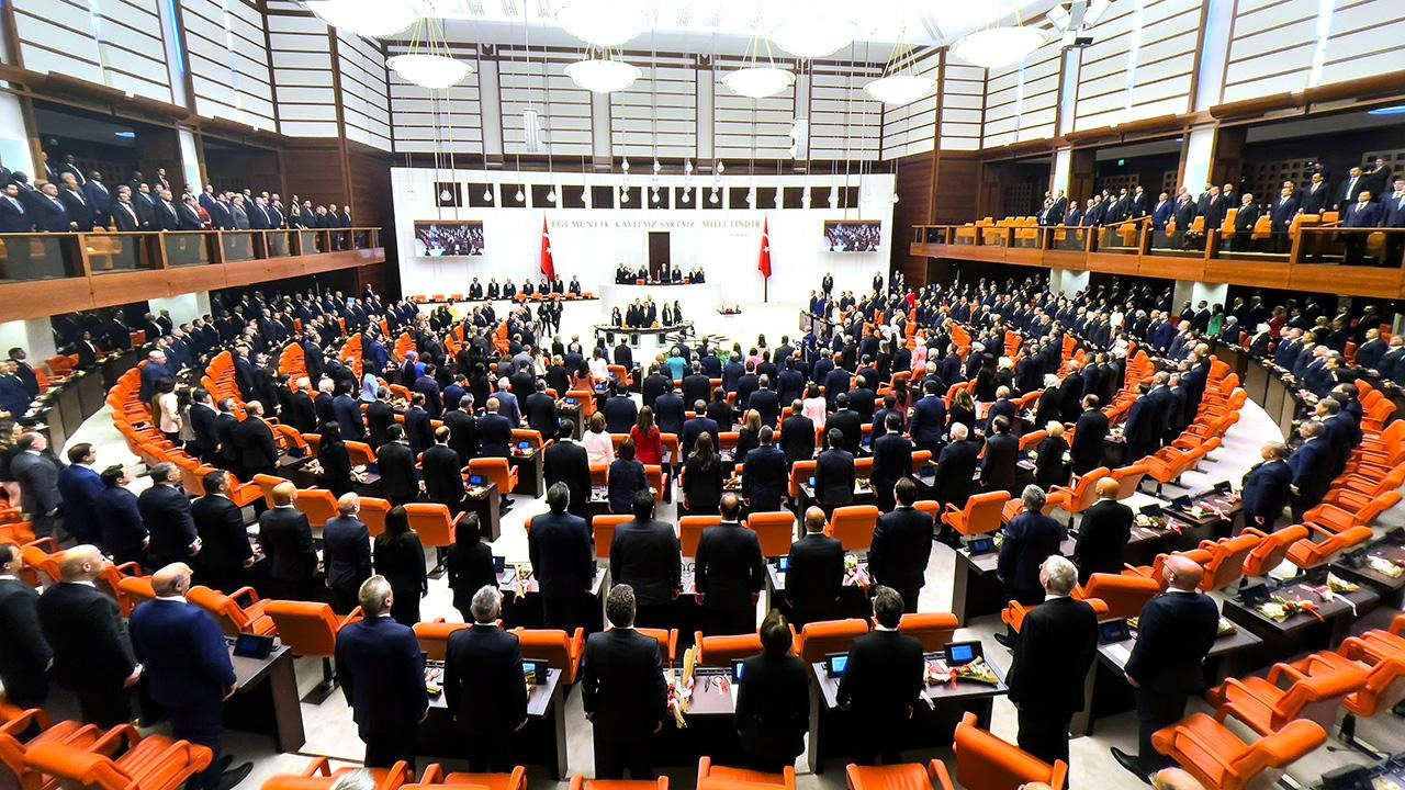 Sokak hayvanlarına yönelik tekliften ötenazi ibaresi kaldırıldı!