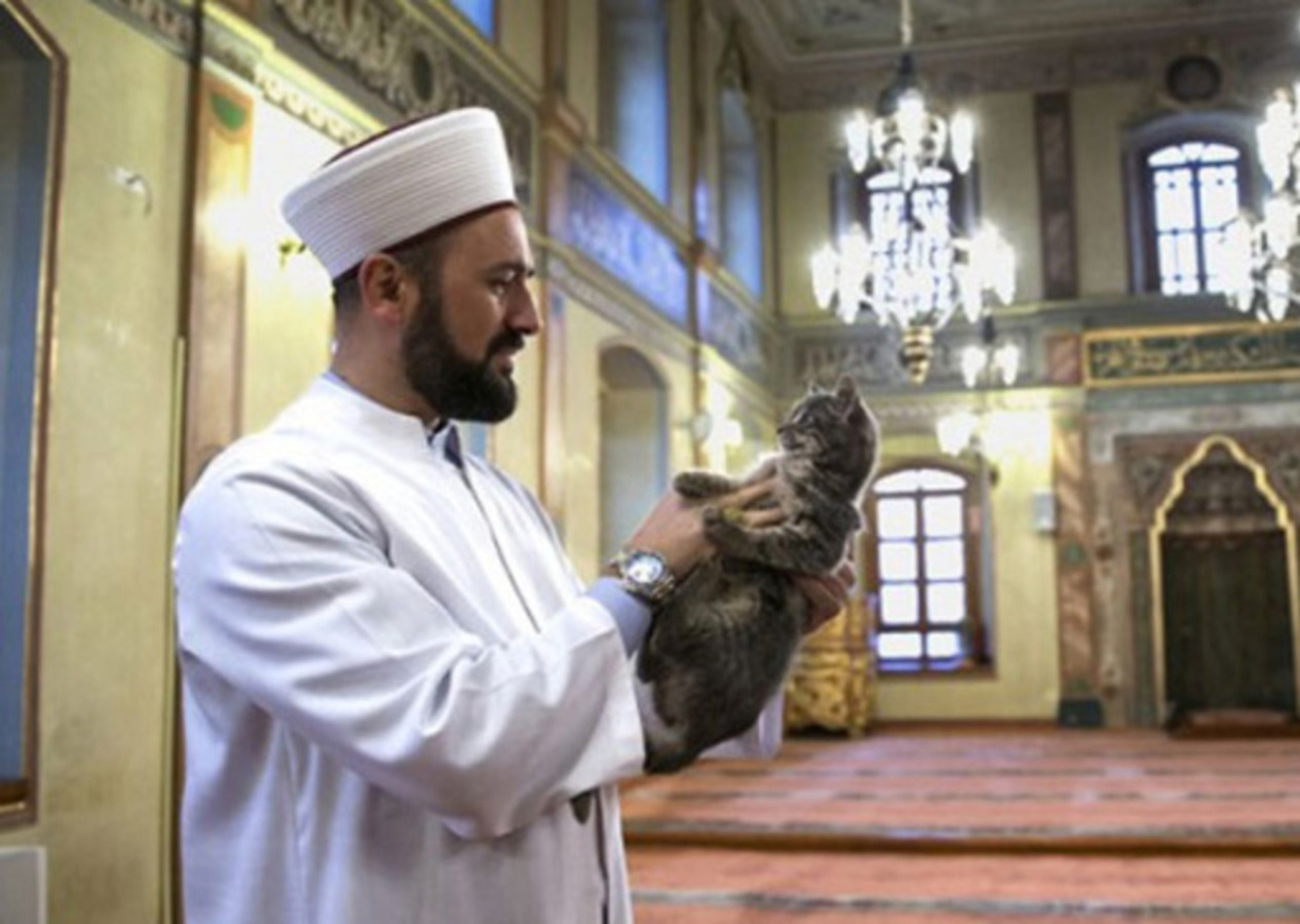 Sokak köpekleri yasasına karşı çıkan imamın konuşması gündem oldu!