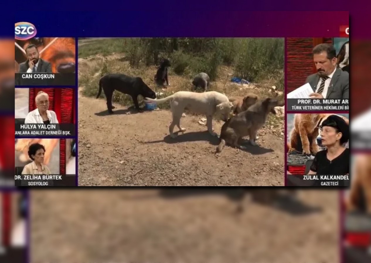 Sözcü TV canlı yayınında skandal tehdit! "Sokak savaşları başlar"