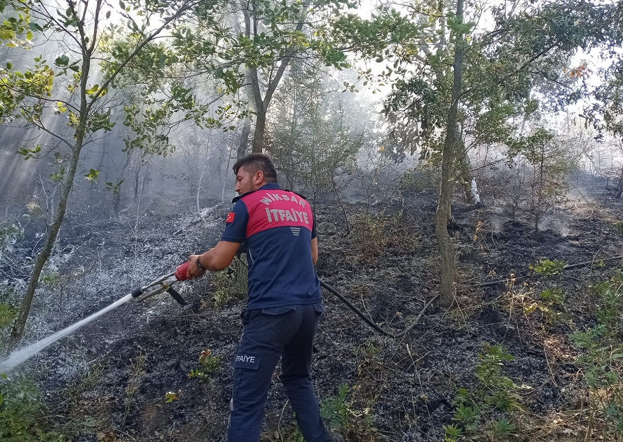 Tokat'ta çıkan orman yangını kontrol altına alındı!