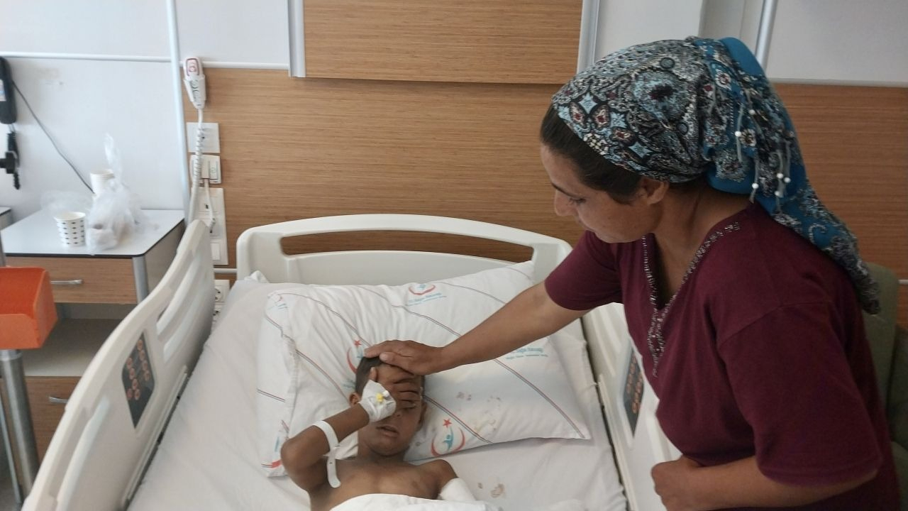 Muğla'da köpeğin saldırısına uğrayan 7 yaşındaki çocuk yaralandı
