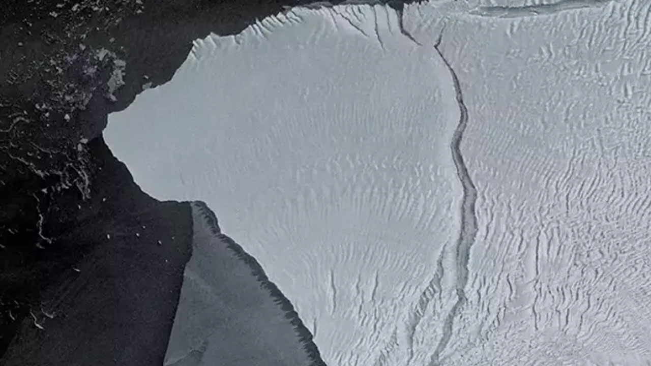 30 yıl sonra harekete geçti! 'Ölmeyi reddediyor'