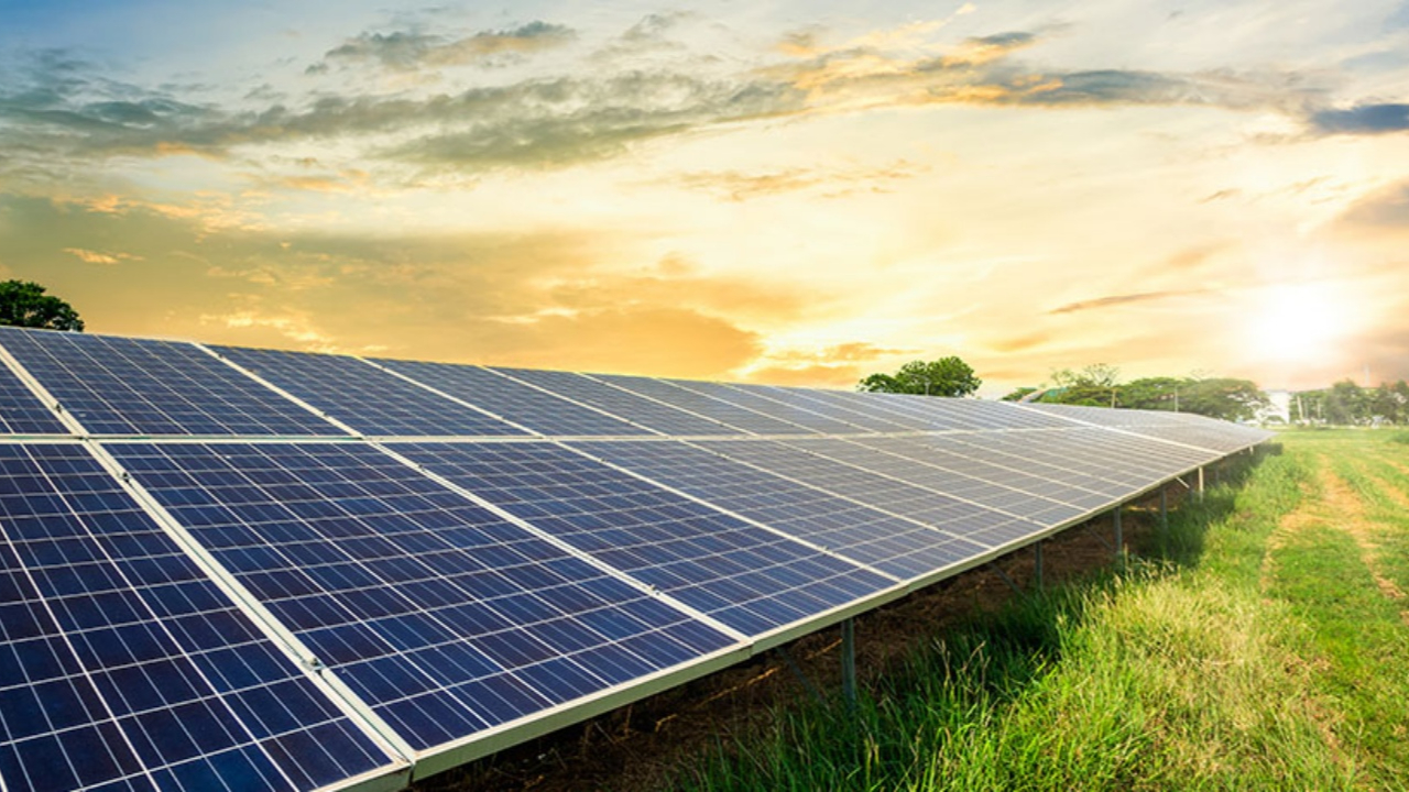 Tüm elektrik ihtiyacı güneşten gelecek
