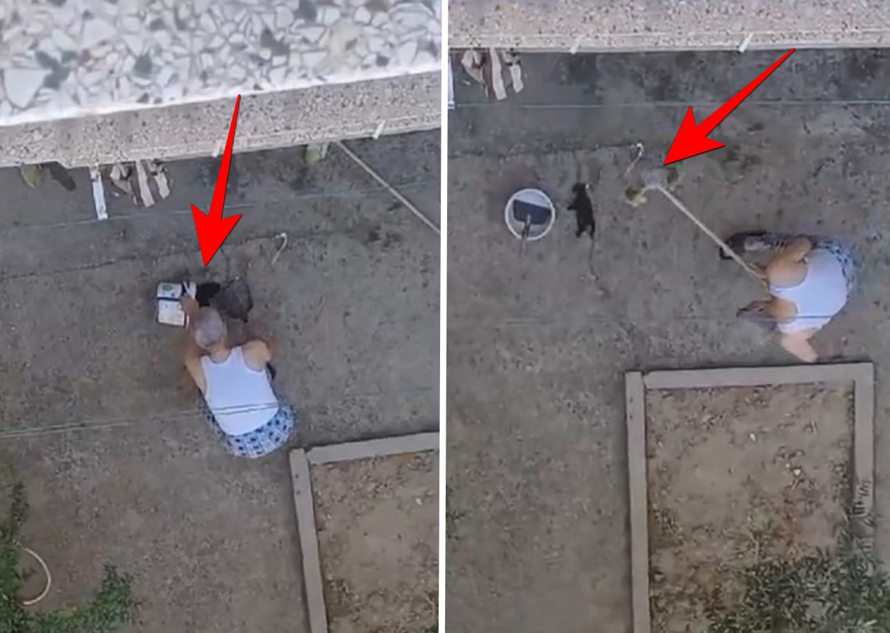 Yavru kedileri fırça sapıyla öldüren cani gözaltında! Pişkin sözleri pes dedirtti...