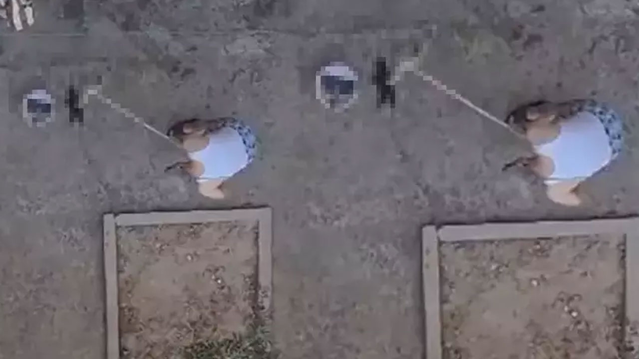 Yavru kedileri süpürge sapıyla öldürmüştü! Caninin ifadesi ortaya çıktı!