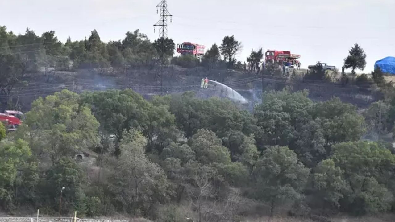 Kütahya'da orman yangını! 10 dekarlık alan zarar gördü