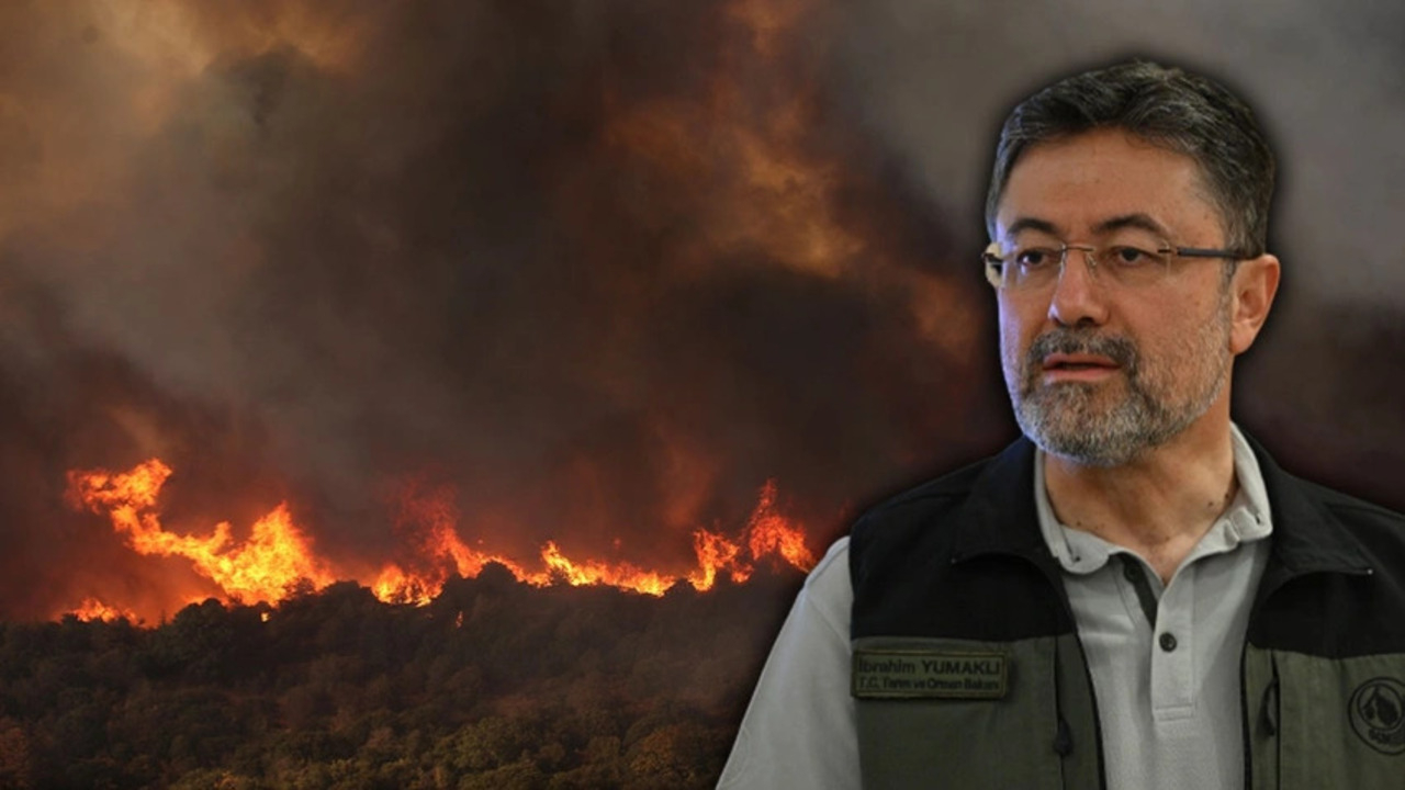 Orman yangınlarıyla ilgili flaş gelişme: Baba ile oğul yakalandı!