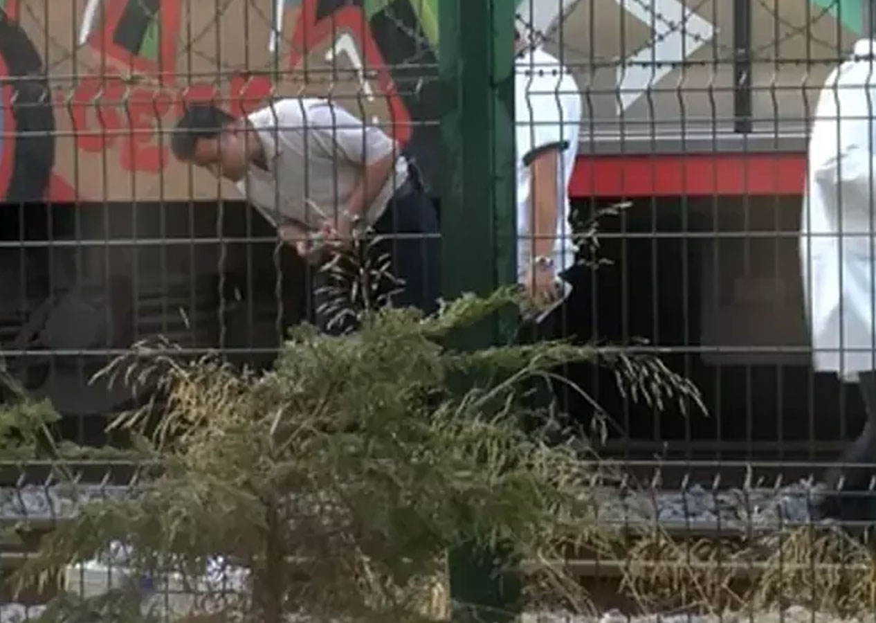 Bakırköy Marmaray'da korkunç olay! Rayların üzerine düştü trenin altında kaldı