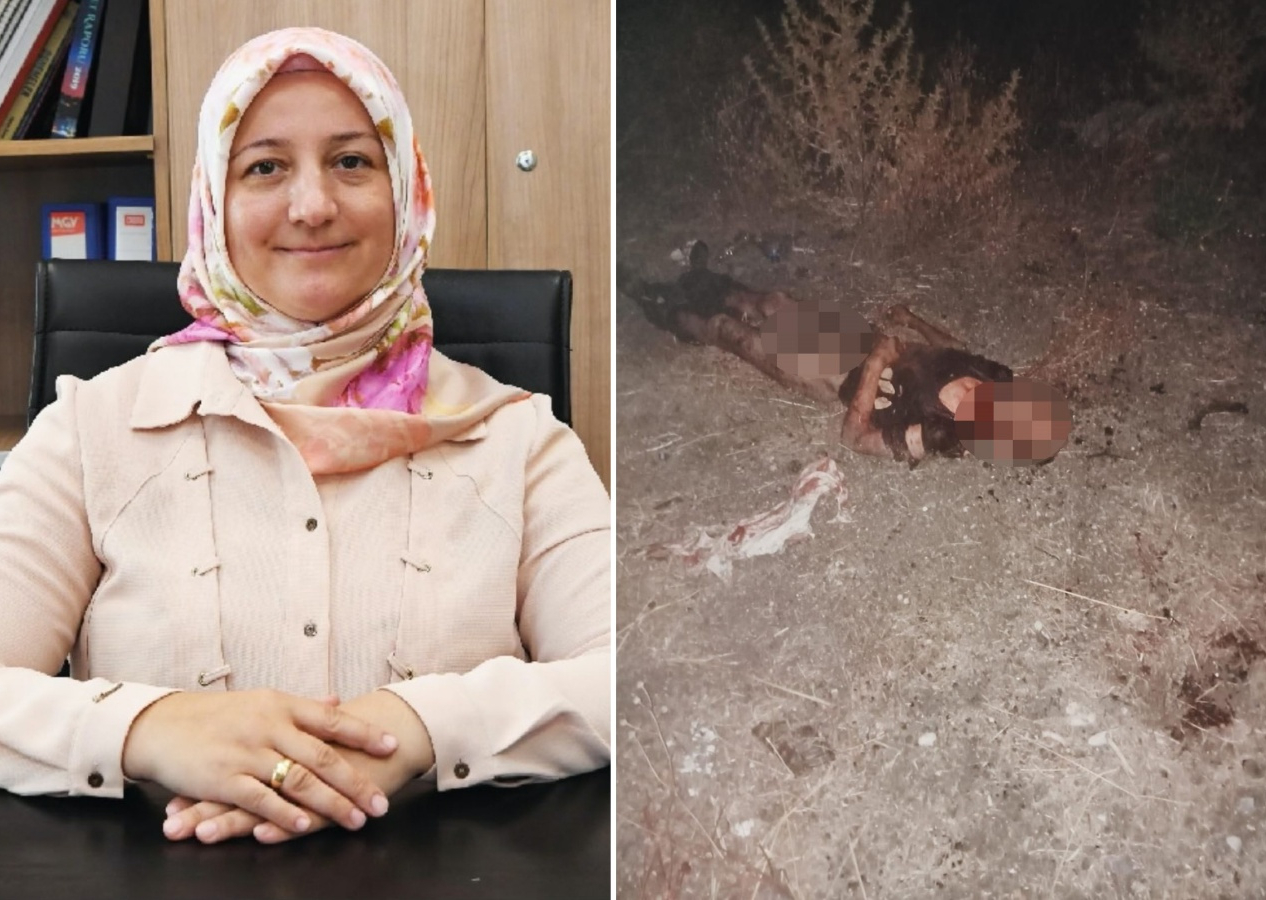 Başıboş köpeklerin toplanmasından sorumlu Ayşegül Coşkun hakkında skandal iddia! SuperHaber Fatih Belediyesi'ne olayın gerçek yüzünü sordu...
