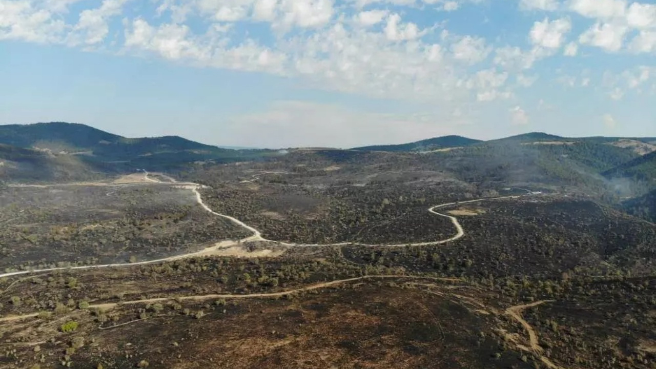 Ankara'da başlayıp Bolu'ya sıçradı! Kızılcahamam yangını 22 saat sonra kontrol altında!