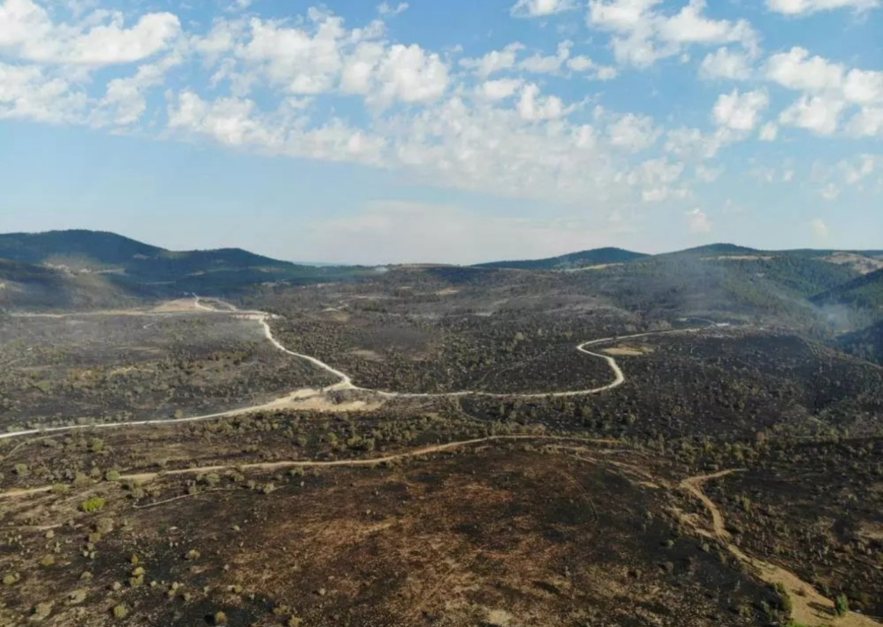 Ankara'da başlayıp Bolu'ya sıçradı! Kızılcahamam yangını 22 saat sonra kontrol altında!