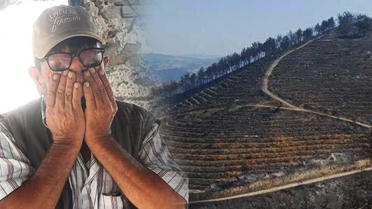 Dehşet anlarını anlattı! Manisa'da çıkan yangından etkilendi: Canımızı zor kurtardık